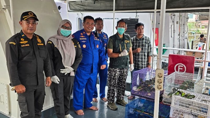 Petugas Karantina Sulawesi Tenggara, Polairud Polri, dan instansi terkait berfoto bersama saat pengamanan ratusan burung endemik hasil penggagalan penyelundupan di perairan Pelabuhan Kendari, Sabtu (24/1/2026).